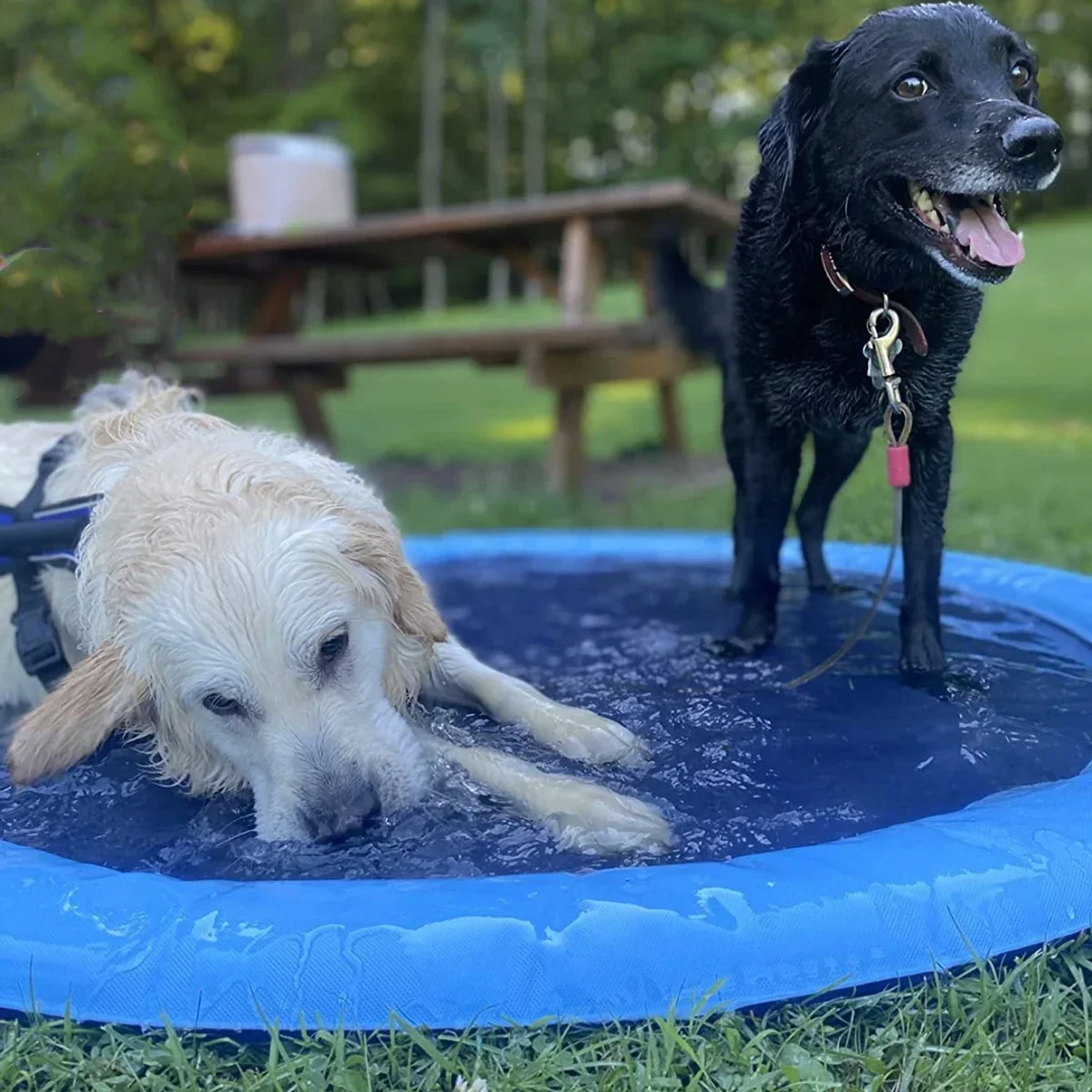 Piscina Inflável para Animais  - Slip Slide Water Mat avaliação e preço